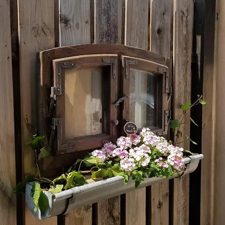 _ Haus Lisa_ Senftenberg